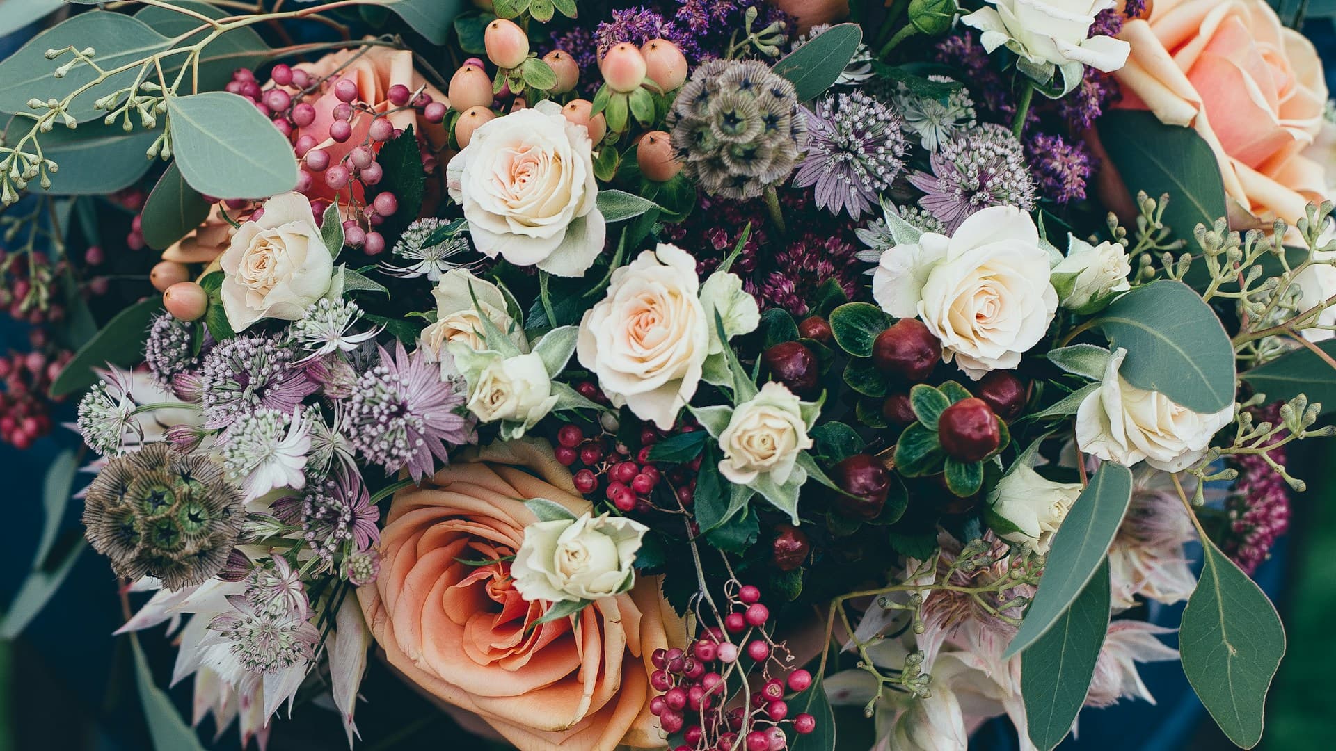Floristas e Pet Shops